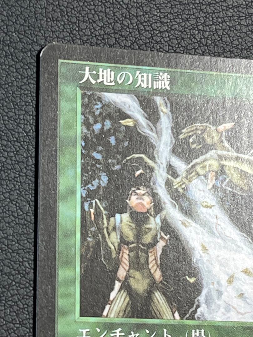 MTG 大地の知識　日本語　テンペスト