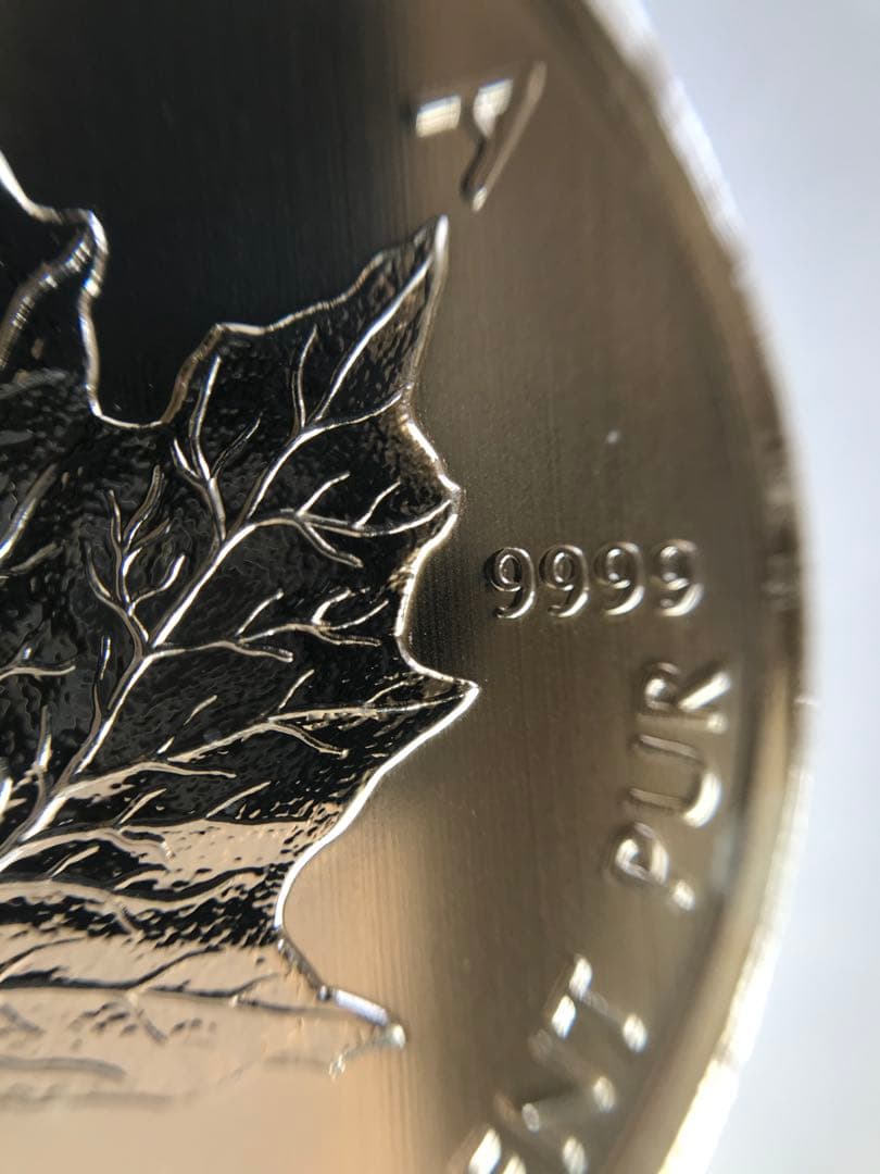 カナダ メープルリーフ銀貨 1オンス 5ドル