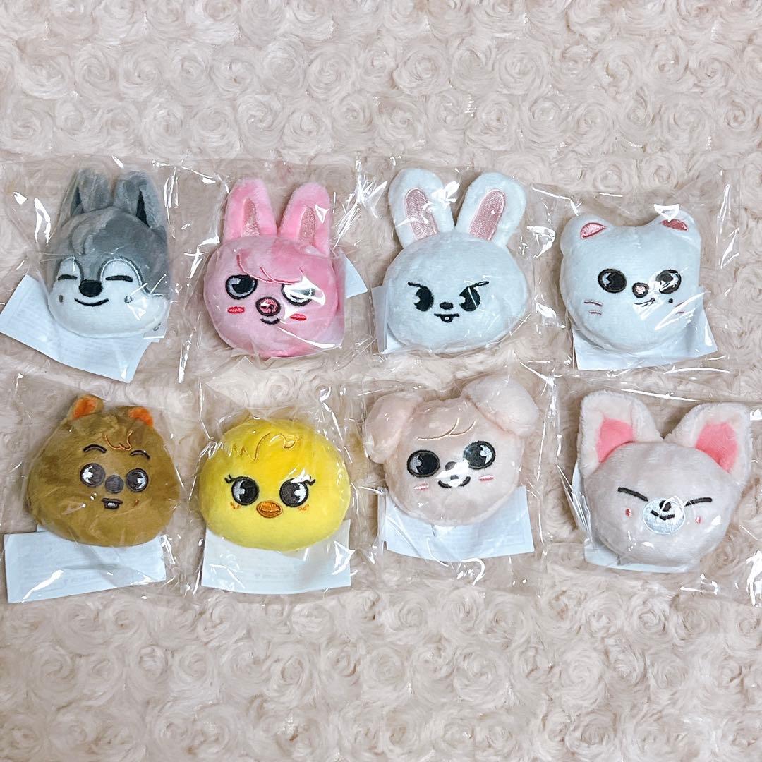 straykids skzoo マグネット コンプ