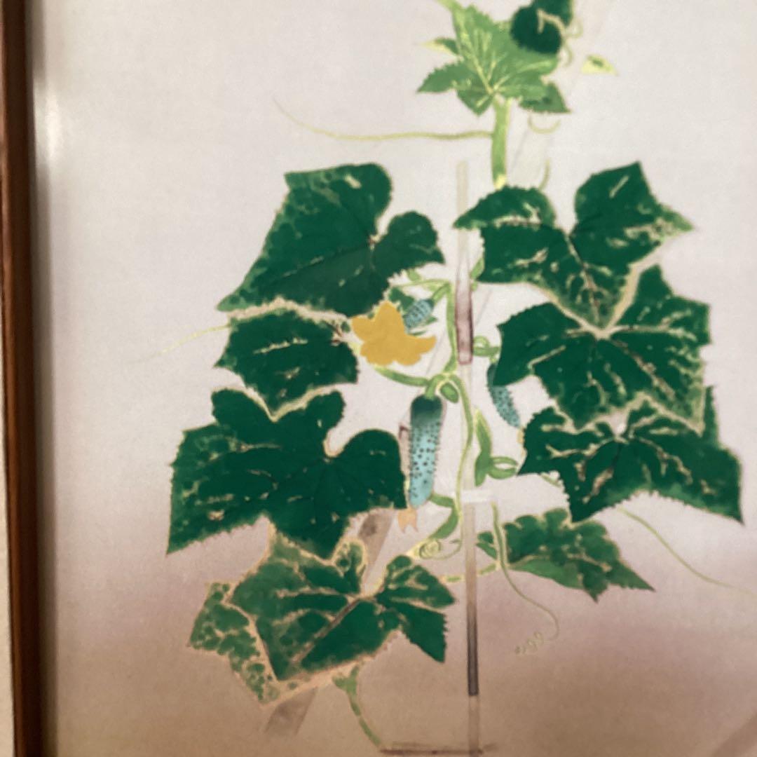 小倉遊亀【オグラユキ】1928年作胡瓜 滋賀県立近代美術館所蔵 陶額 レア品