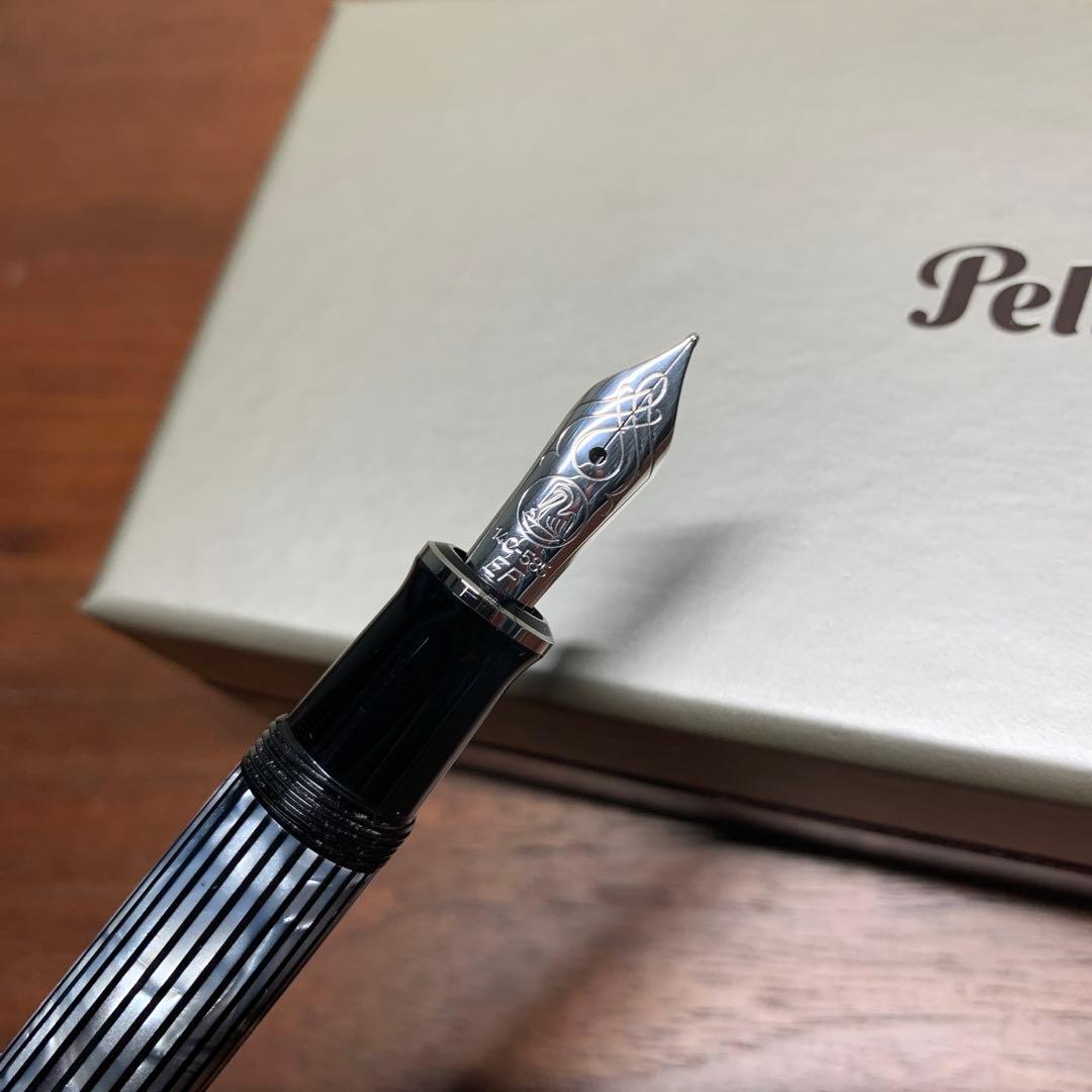 SAILOR セーラー万年筆 津軽塗り 七々子塗り 21K B セーラー万年筆伝統