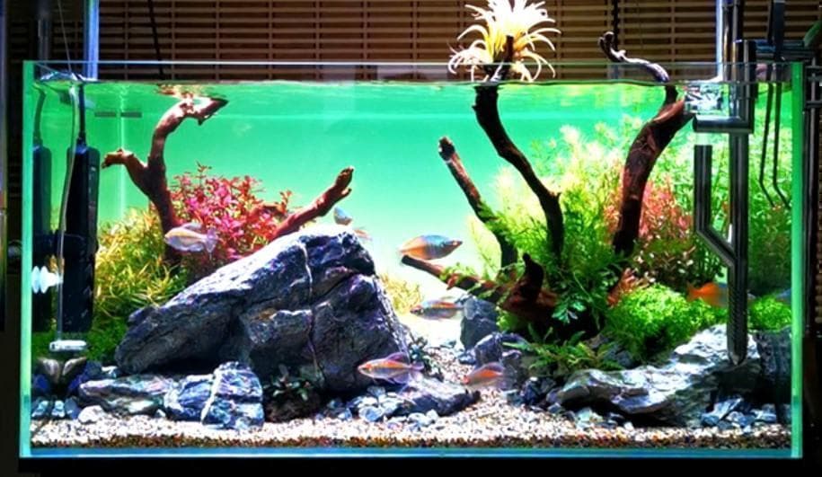 水槽 カラー バックライトスクリーン 60cm×36cm アクアリウム LED