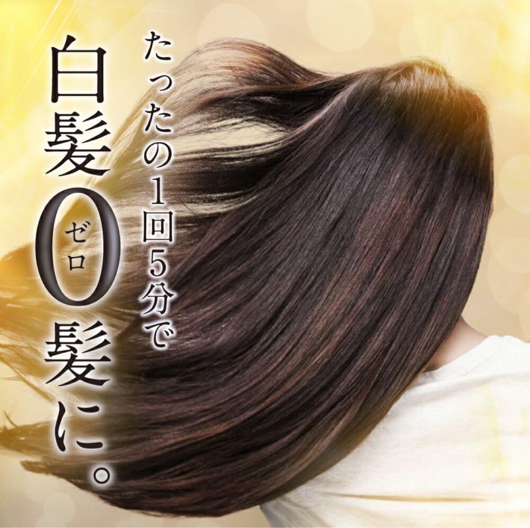 お得な３本セット楽天1位白髪染めビーリスカラーリング泡タイプ 部分染めb.ris