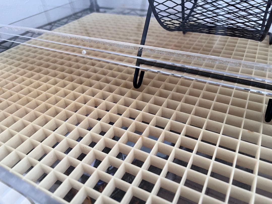 フクロモモンガ アクリルケージ ねくすと