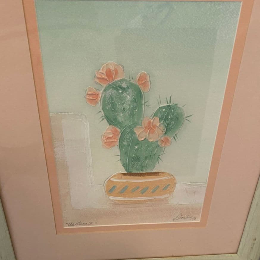 ヴァンガードスタジオ　サボテン　アンドレ　Vanguard Studio