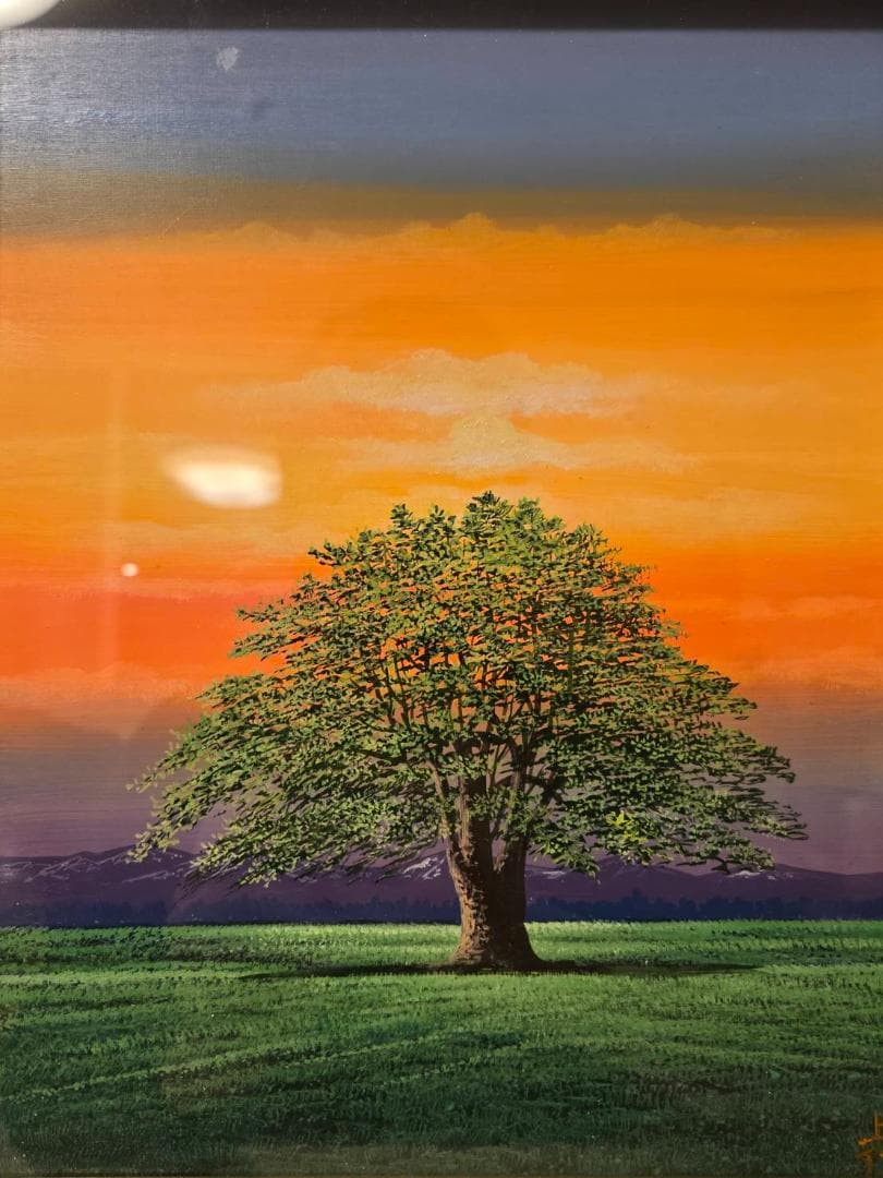 一枚の絵　上代誠　「朝」　肉筆　保証　油彩　約6号　風景画　木　夕日　共箱
