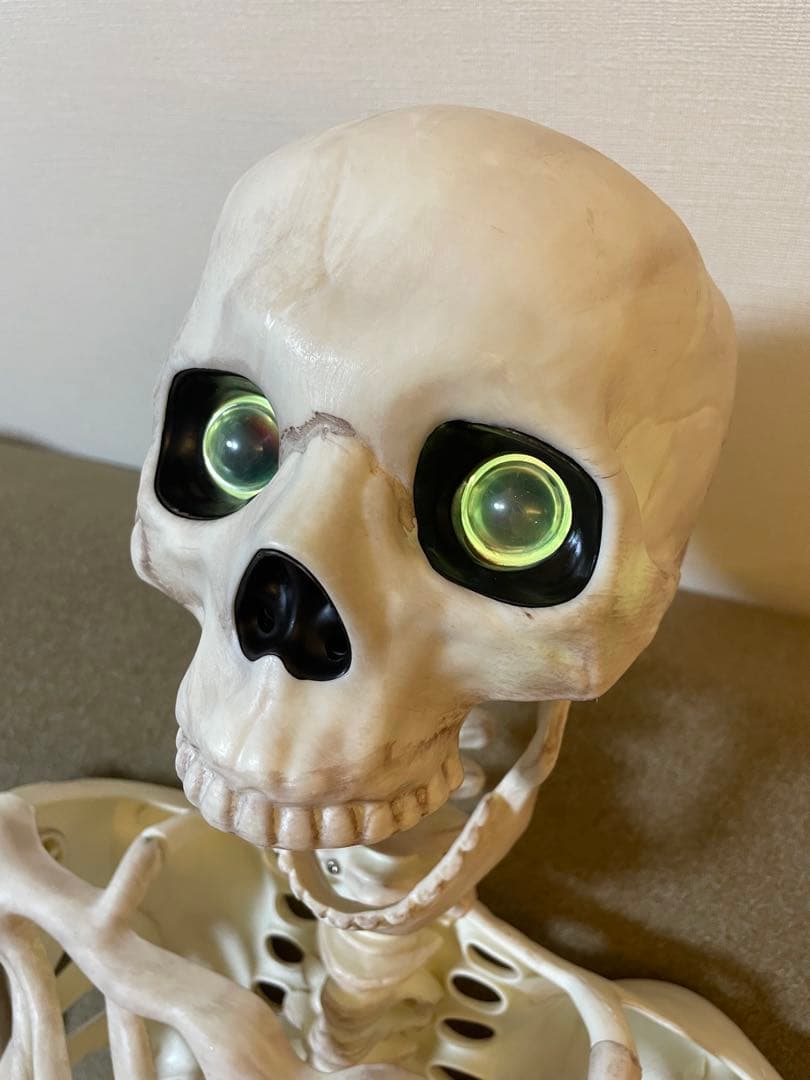 デカすぎ！】ガイコツ ハロウィン 人体模型 骨 ハロウィン 150cm