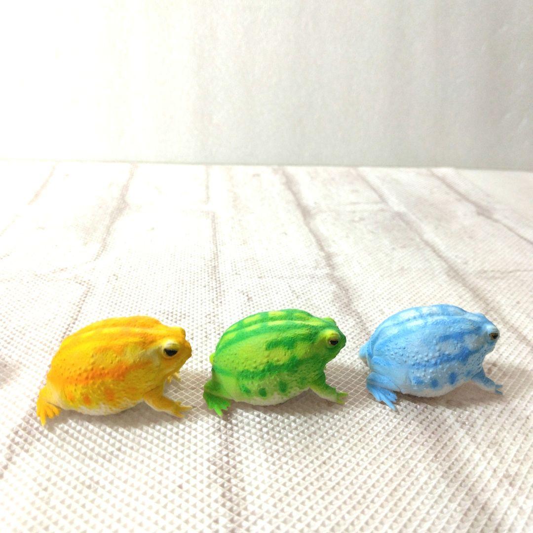 フクラガエル　リアルフィギュア　コンプリート