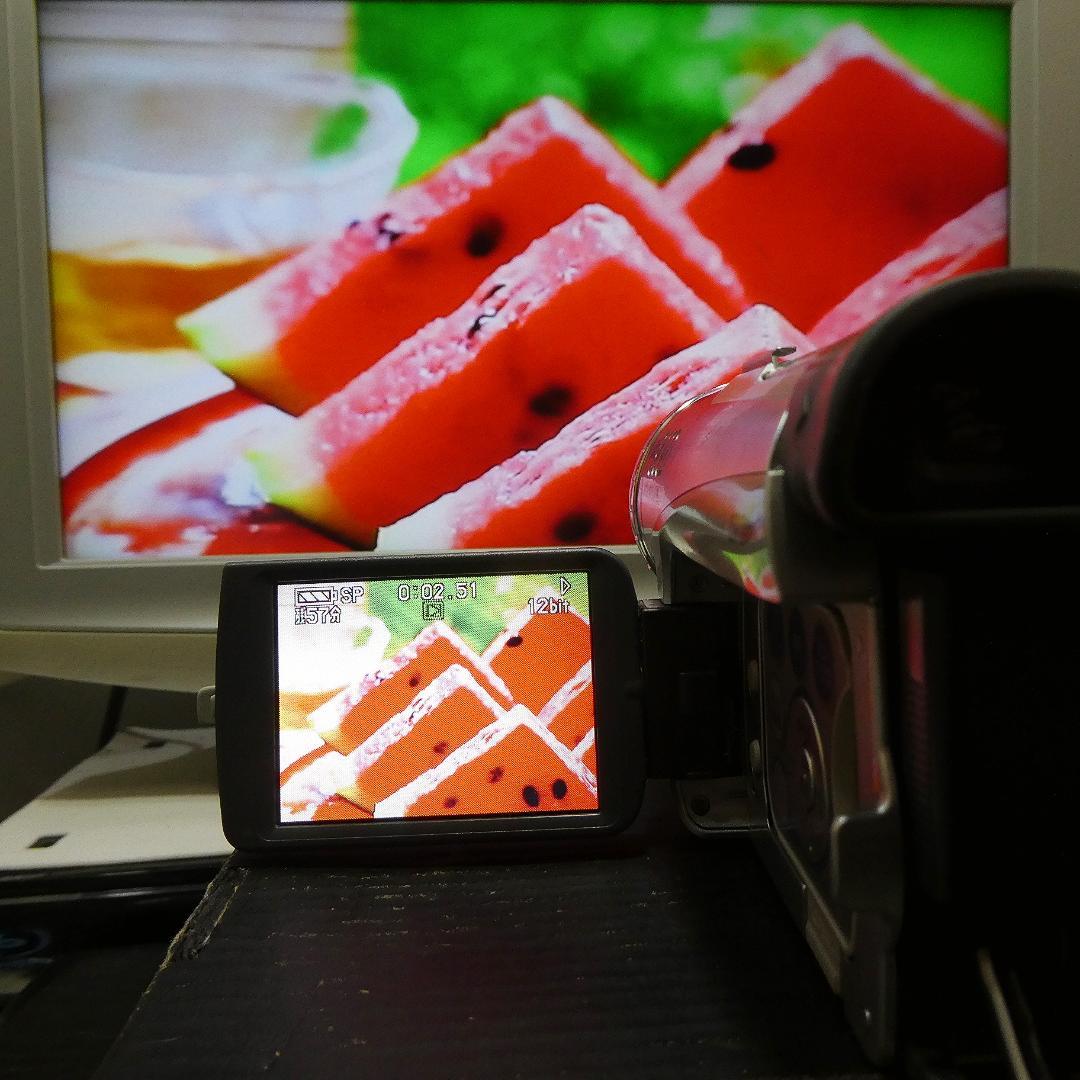 動作良好 パナソニックNV-GS200 MiniDVビデオカメラ　DVD化に最適