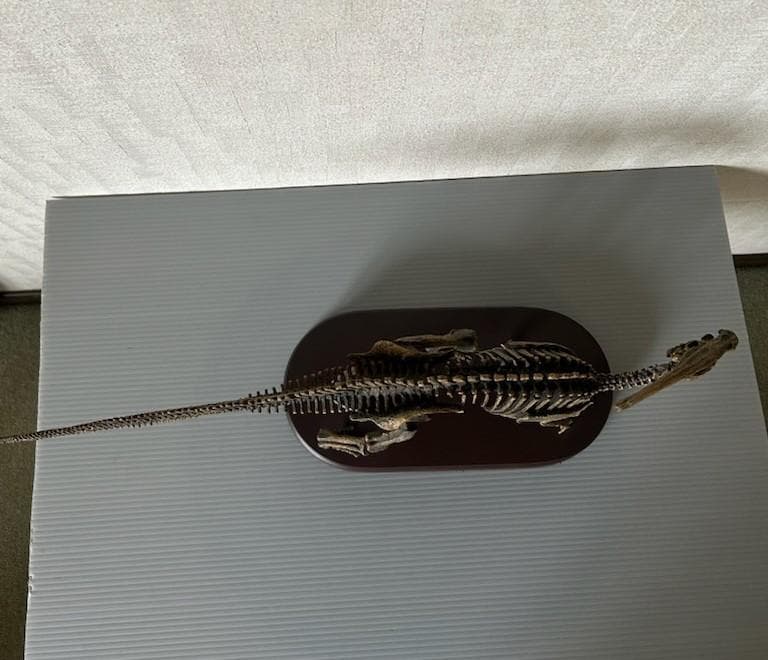 フェバリット コレクション パラサウロロフス 1/20スケールの通販はau