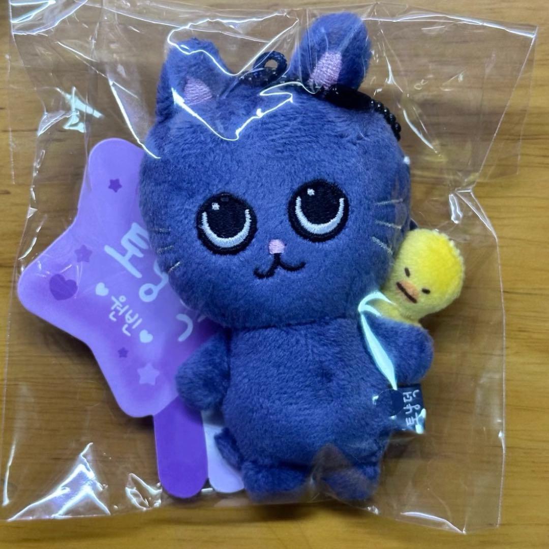 RIIZE ウォンビン ぬいぐるみ トニャンドク - メルカリ