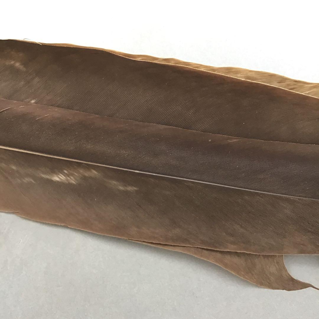 茶道具 羽箒(孔雀羽入り) 紙箱(修復歴あり、紙箱劣化有) S21HB