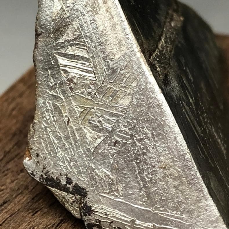 卸売 通販ホビー・楽器・アート - 隕石 鉄隕石 アルタイ隕石 原皮付き