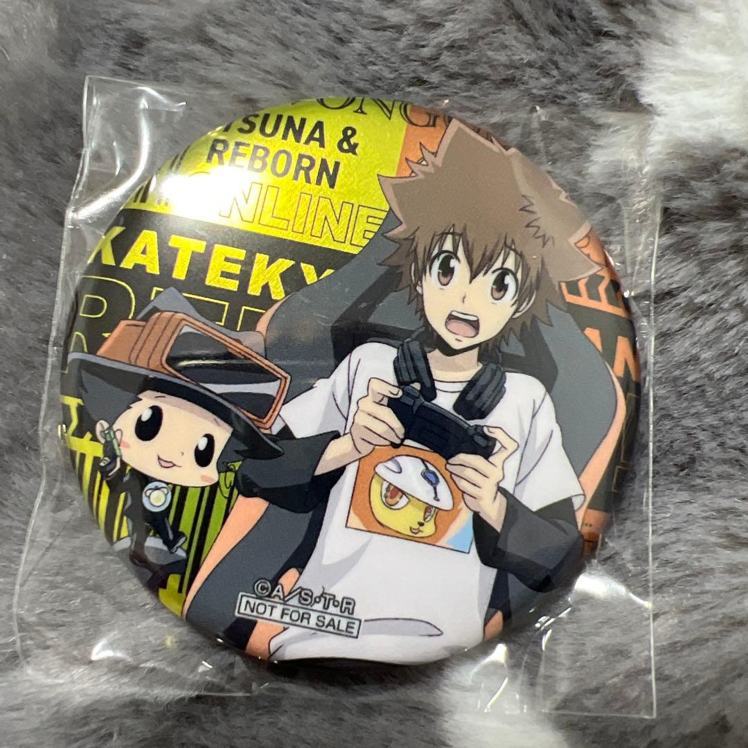 家庭教師ヒットマンREBORN！アニメイトフェア特典メタリック缶バッジ