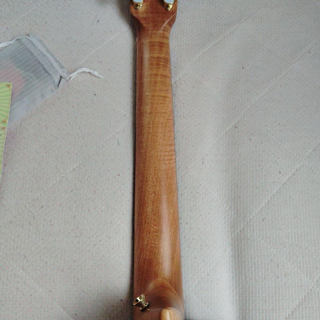 aNueNue （アヌエヌエ）M30 トップ単板、オールアカシアギター