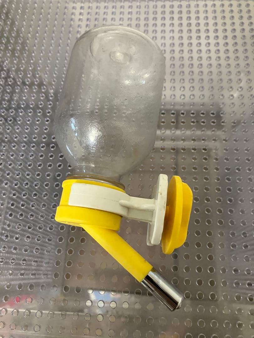 アクリル ケージ フクロモモンガ フクモモ ねくすとショップ - メルカリ