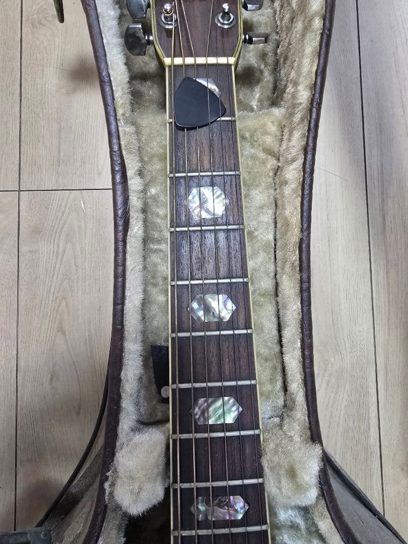 Morris TF W-80 製造年不明 Morris W-80 製造年不明 TF