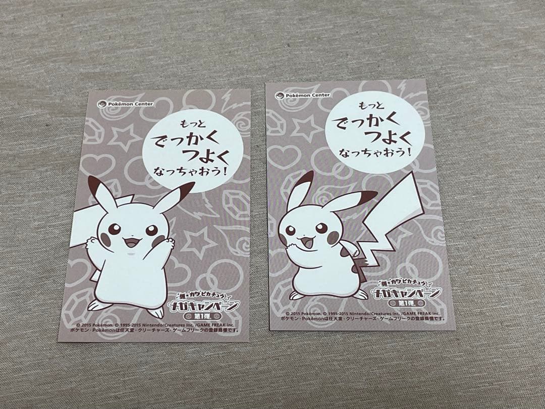 2枚セット ポンチョ ピカチュウ 名刺 カード メガリザードン XY 限定