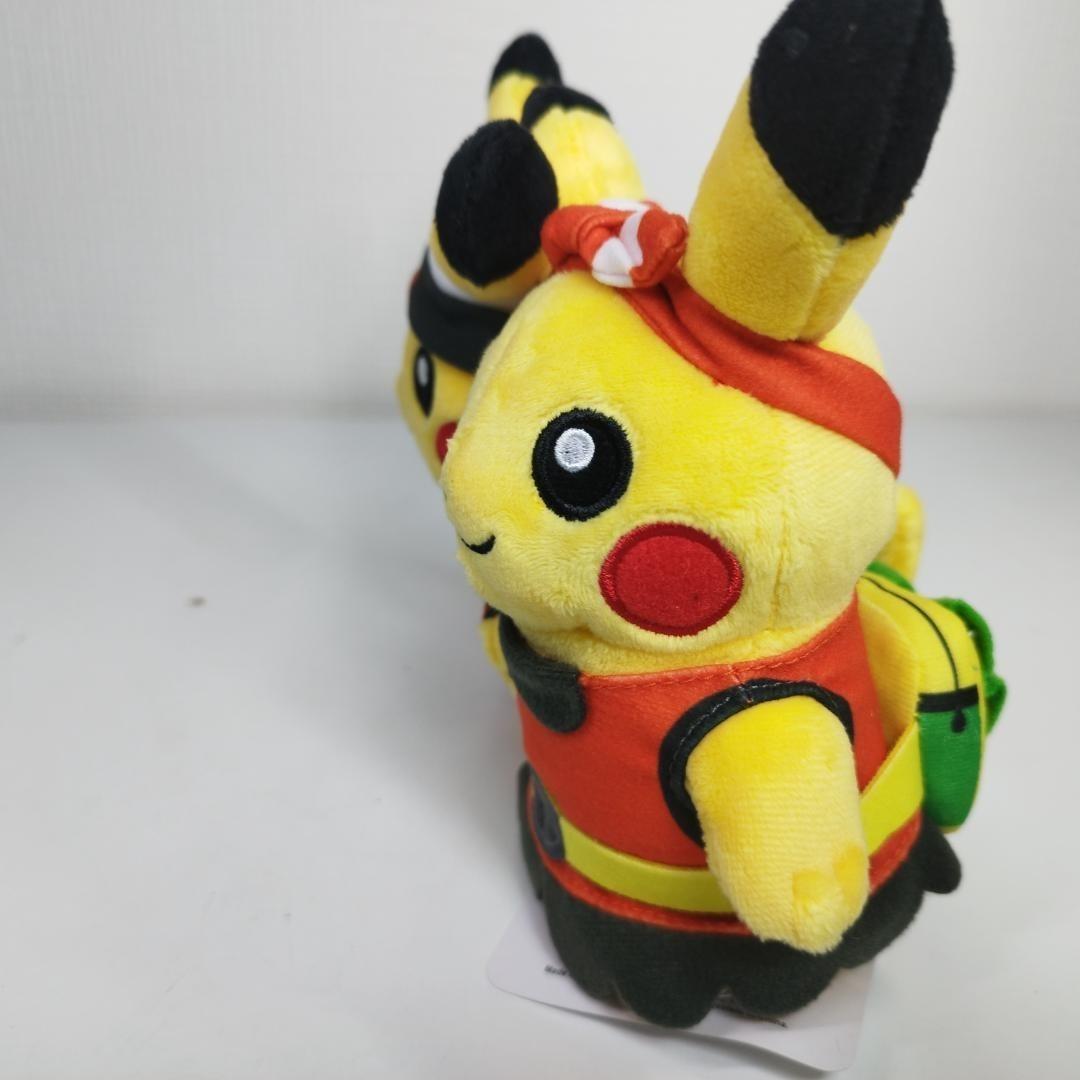 ピカチュウ 25周年 ホウエン地方 ぬいぐるみ ペア ポケモンセンター hIS6