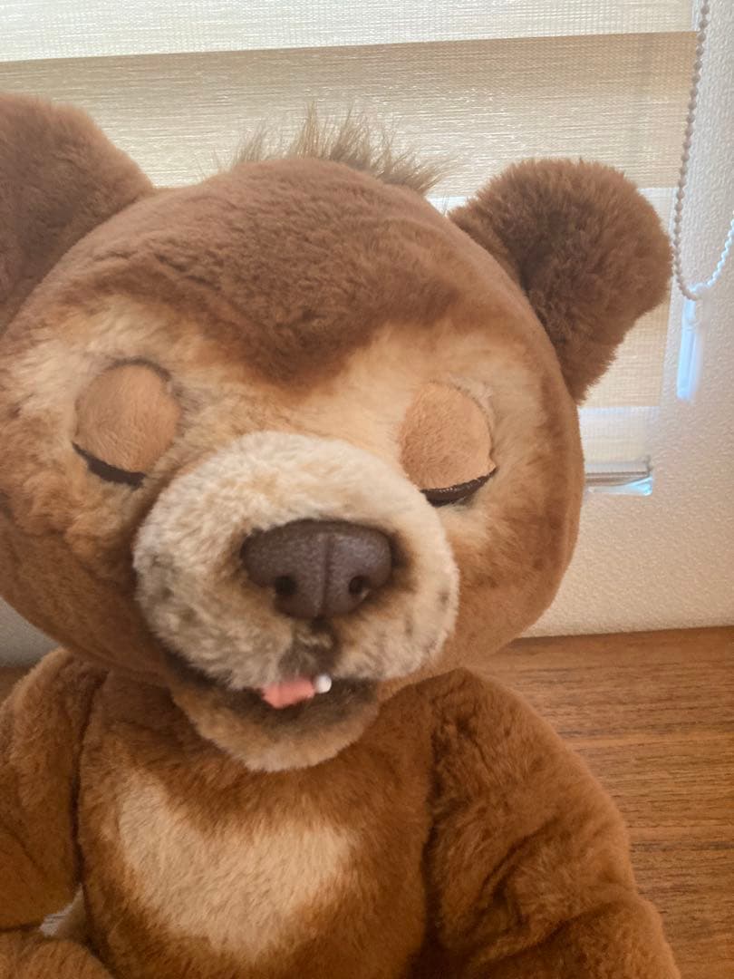 美品　こぐまのガビー　ファーリアル　廃盤品　付属品あり