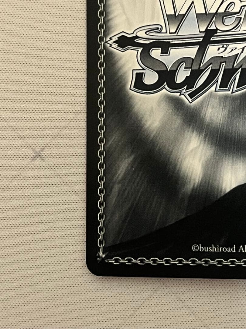 ws ヴァイスシュヴァルツ　怒涛の撮影スケジュール　MEMちょ　SEC＋　サイン