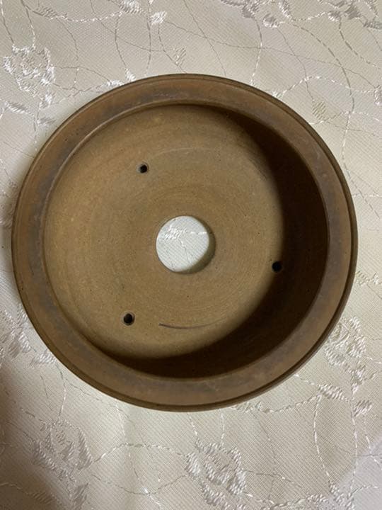 佐太郎 丸 松の絵彫り 盆栽鉢 佐太郎松の絵彫り丸盆栽鉢