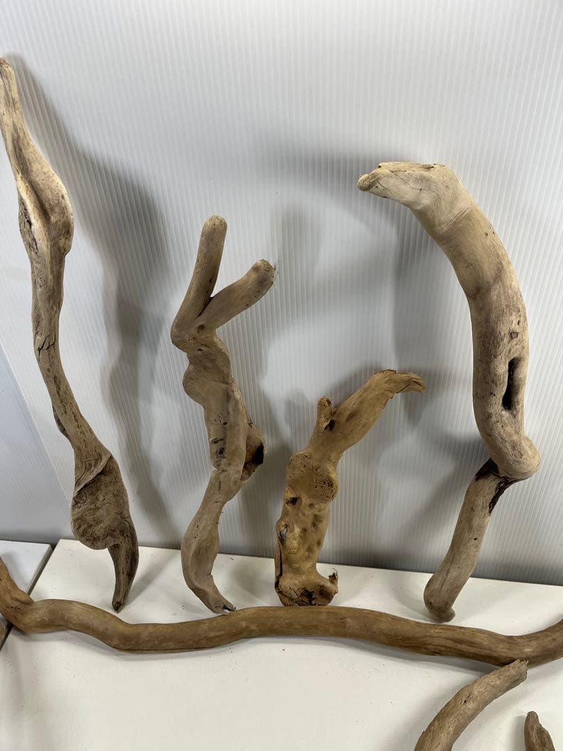 F8アク抜き済み流木セット爬虫類シェルター 登り木 インテリア 生け花