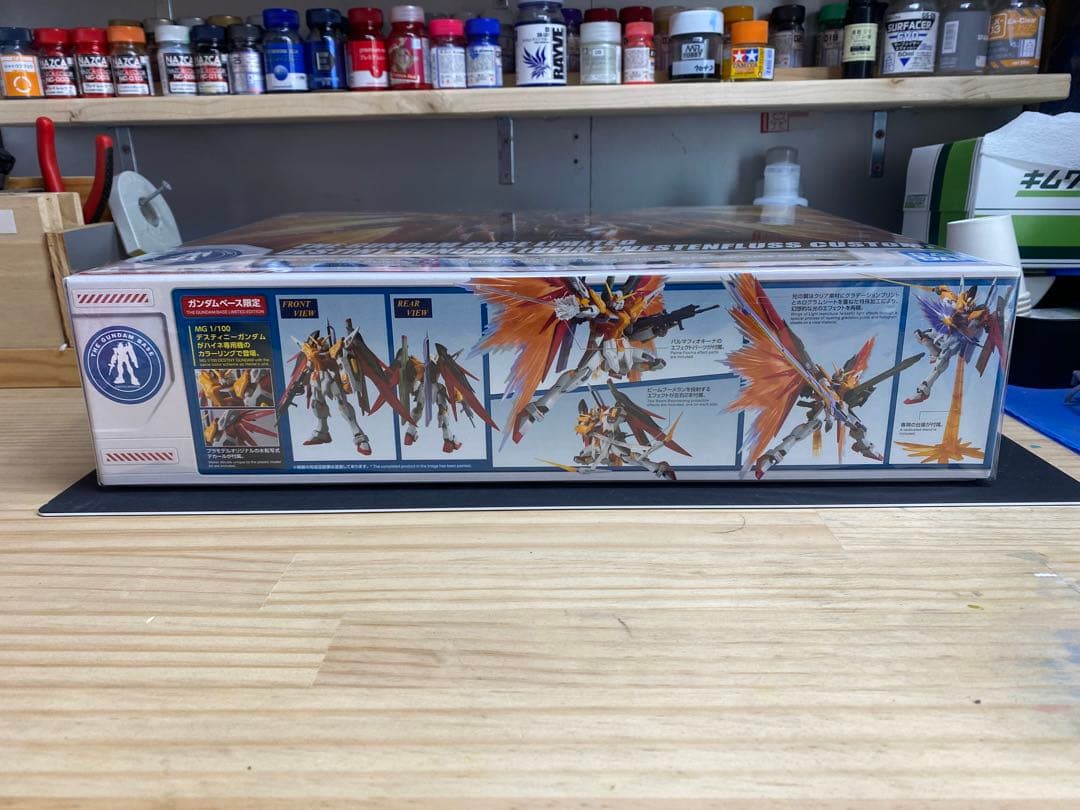 MG デスティニーガンダム（ハイネ・ヴェステンフルスカスタム）