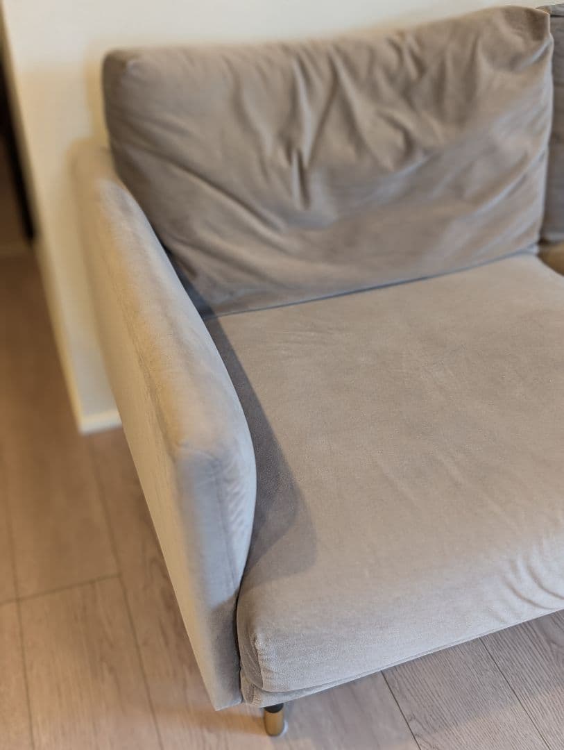 LOWYA ヨーロッパ風ベルベットソファ（2人掛け） 引取限定