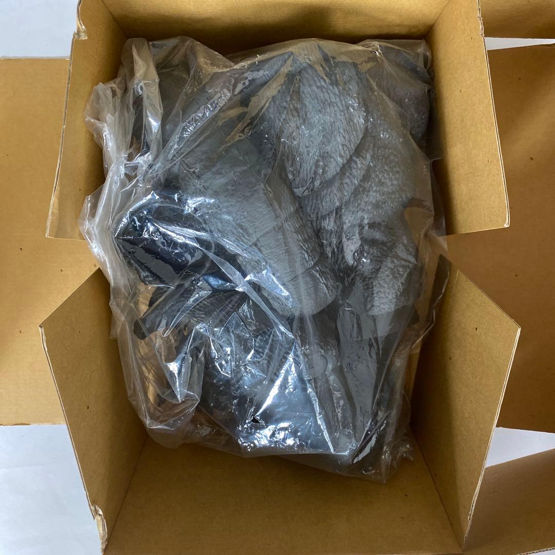 最終価格‼️ビリケン商会ゴジラvsモスラ版ゴジラ バトゴジ検