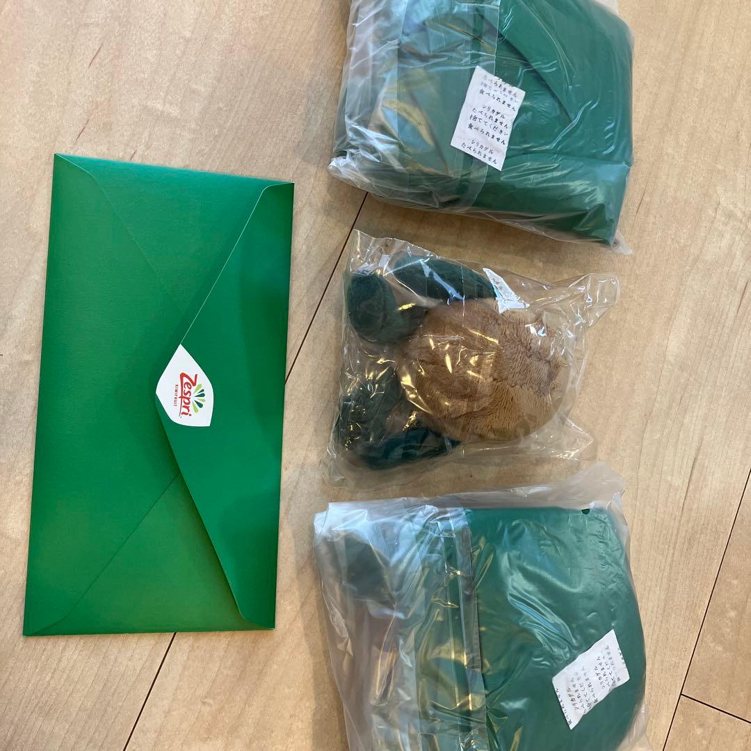 Zespri キウイブラザーズ大当レッド１つ　In Redエコバッグ付録２つ