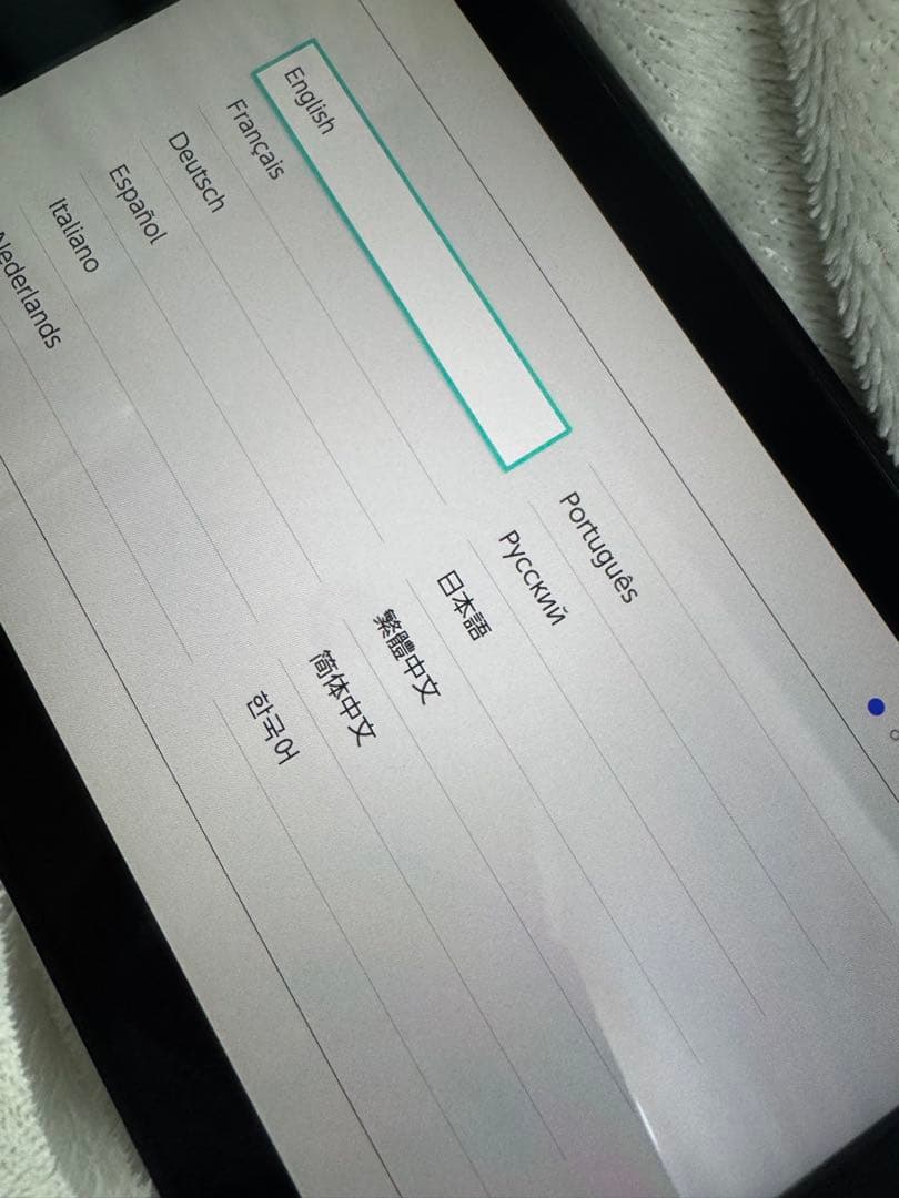 Nintendo Switch 本体 どうぶつの森 周辺機器