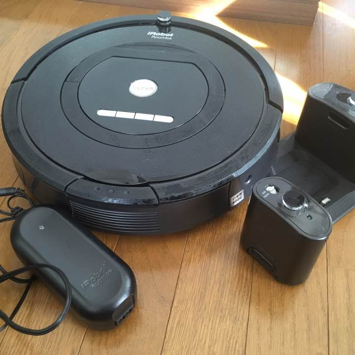 日本画 / 鎌田 義裕 / 【彩光】/ 掛け軸 / 共箱