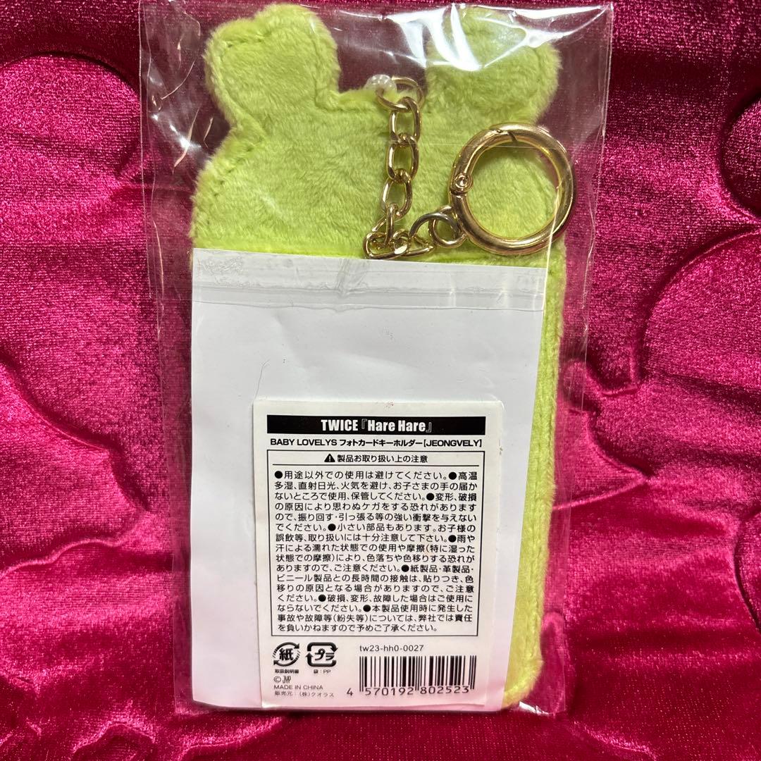 TWICE ジョンヨン ジョンブリー フォトカードキーホルダー HareHare