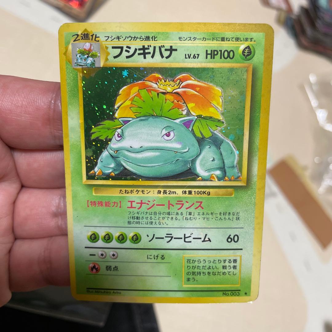 フシギバナ　旧裏　全面ホロ