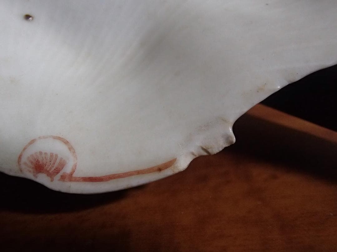 色絵 平貝形 小皿 古九谷 骨董