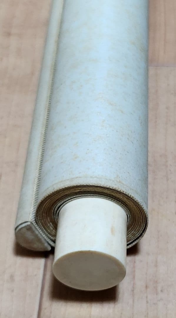 パイナップル図】佐野五風 2709 果物静物 掛け軸 肉筆