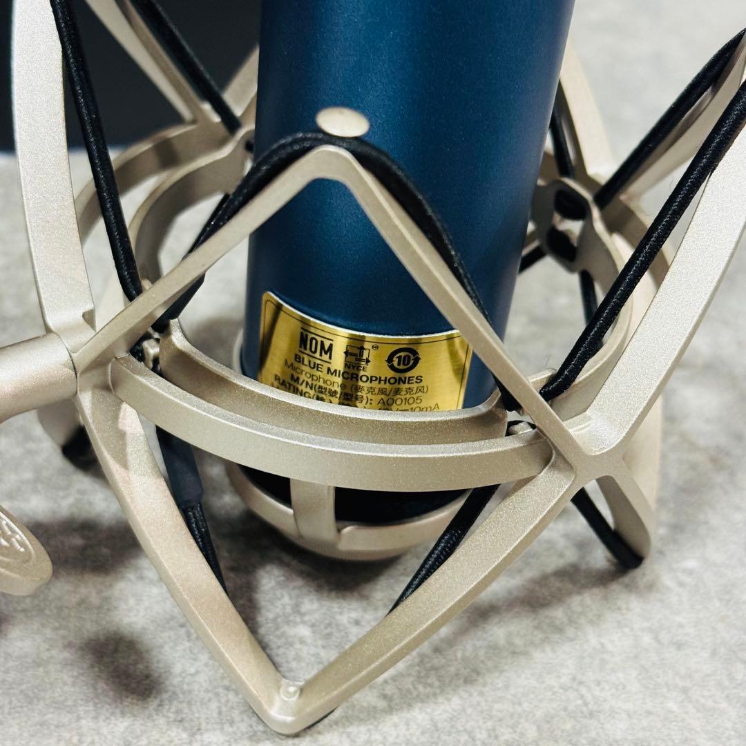 Blue Microphones Bluebird SL コンデンサーマイク