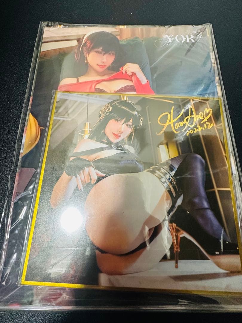 【未開封品】HaneAme 雨波 コスプレ写真集 まとめ売り