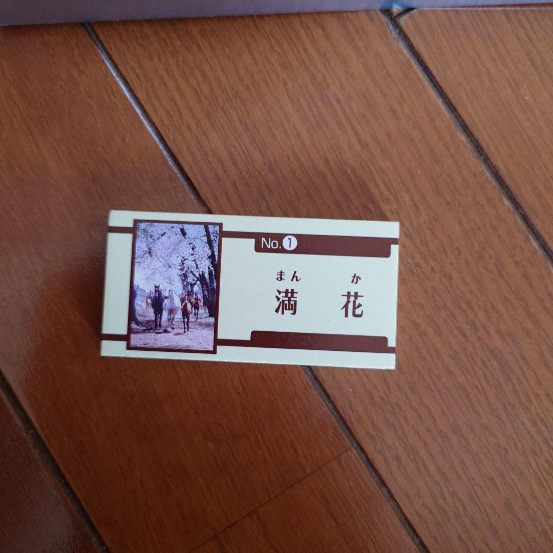 JRA 競馬 馬写真（額入り） 満花