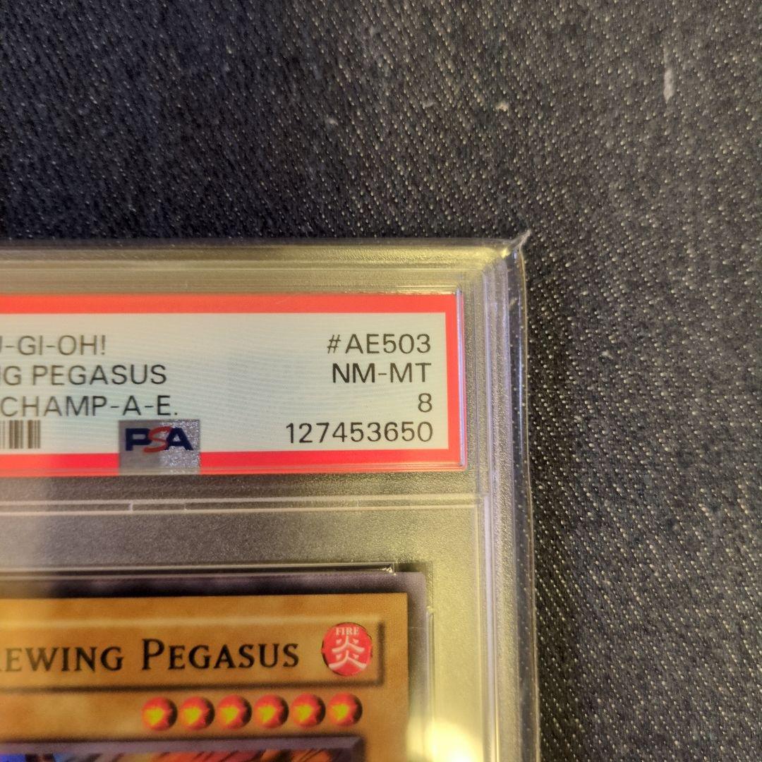 （PSA8）【匿名配送】WCS-AE503　ファイヤー・ウイング・ペガサス