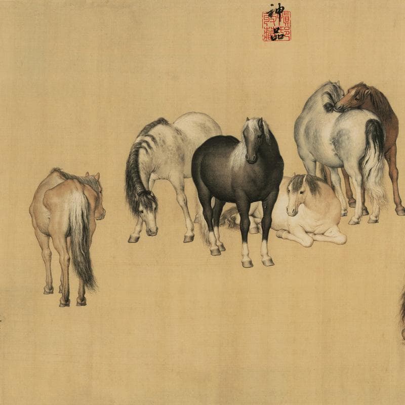 h13# 八骏图 中国古書画 画家郎世宁(清) 神品