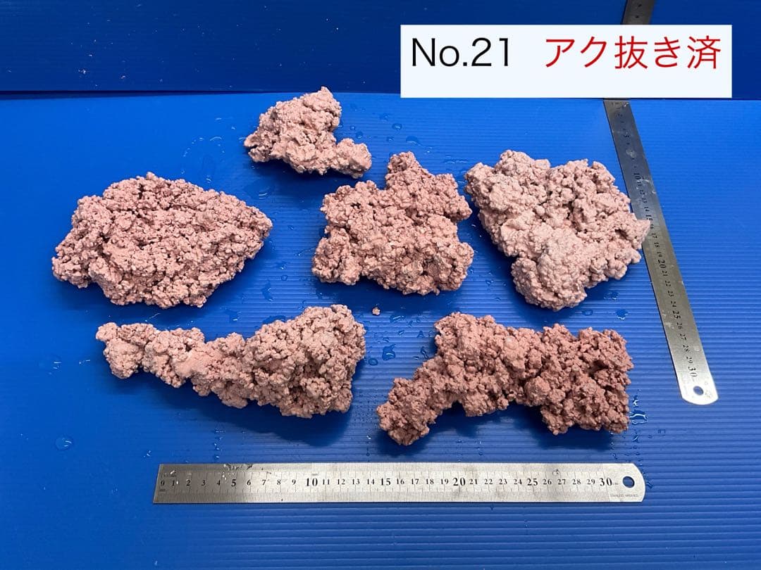 人工ライブロックNo.13 アク抜き済