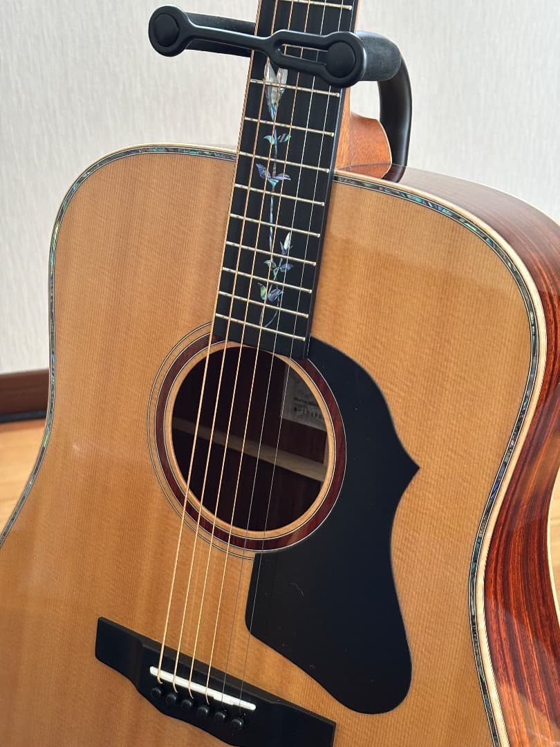 MORRIS GUITARS M-104PDK モーリス