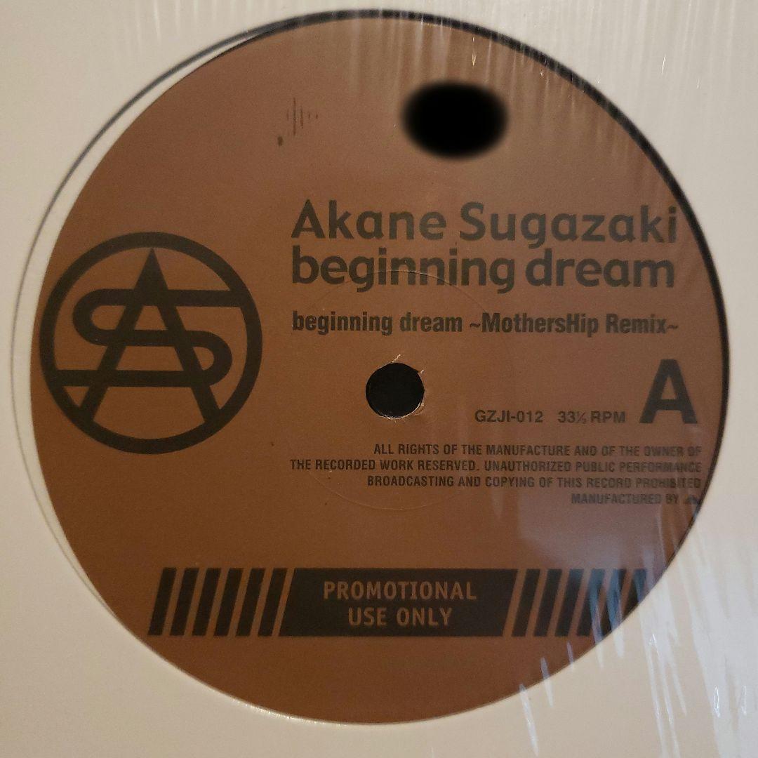 希少 菅崎茜 国内プロモ 非売品