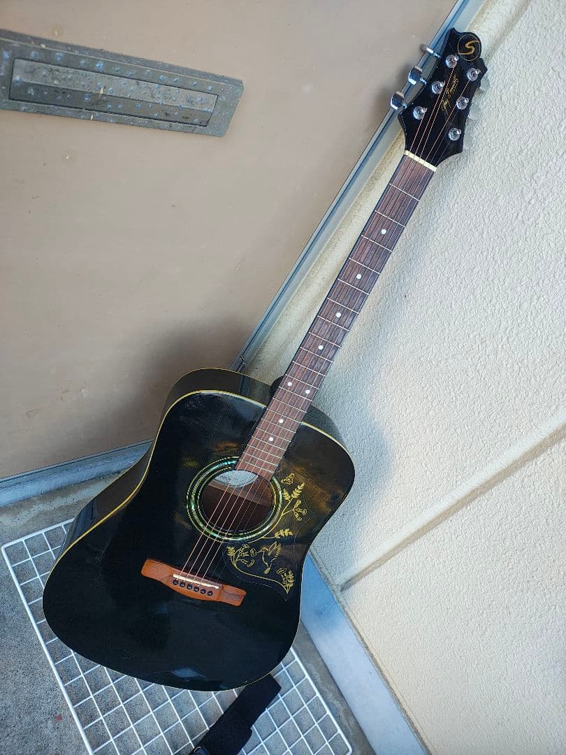 美品 Greg Bennett D-2/BK ハミングバードモデル エレアコ - メルカリ