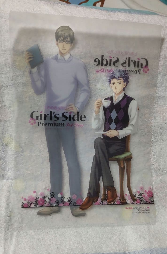 B's-LOG ビーズログ 2010年8月号 雑誌 ときメモ GS3 表紙 紺野玉緒