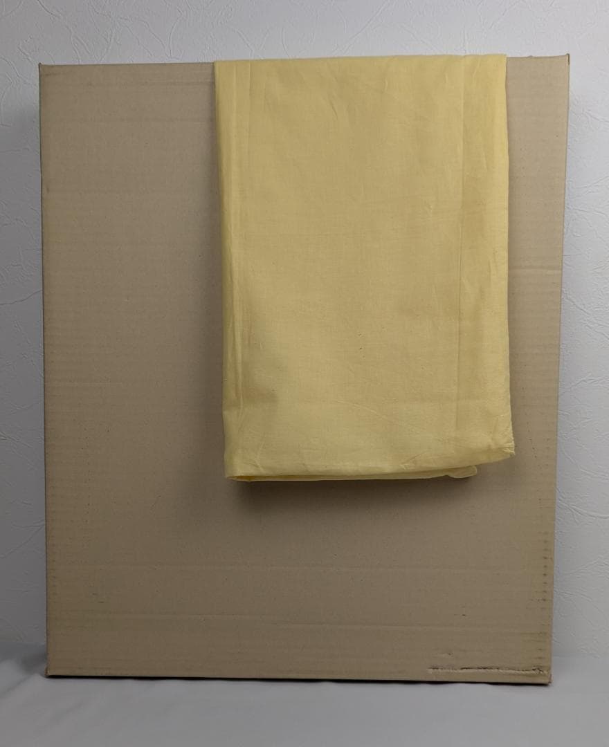 藤岡しんたろう 『空の散歩者』 油彩画 [肉筆・真作保証]