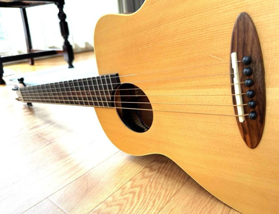 3.9万Airデュアルピックアップシステム付き】aNueNueアヌエヌエ M1