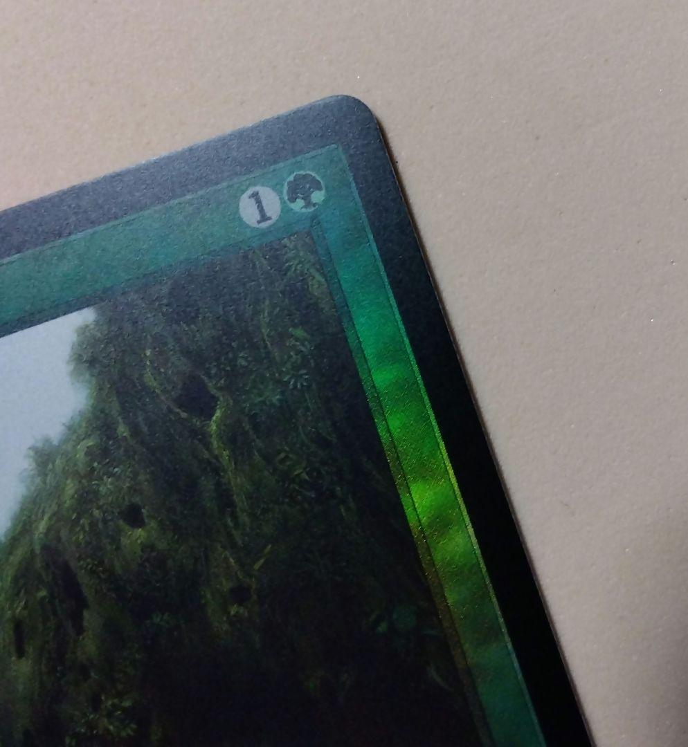 MTG 森の知恵 Foil DMR 旧枠仕様 英語